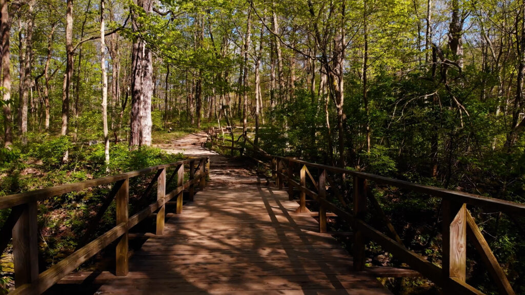 Dayton area park